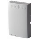 Ruckus Access Points H320 